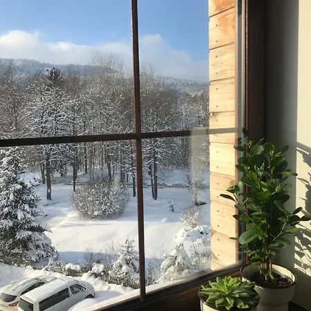 U Potoka Apartament Desztne w Górach Orlickich